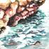 Water_free_oil