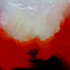 Small_red_dragon