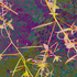 Floral_fantasy_26hx40w