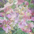 Floral_fantasy_4_40hx32w
