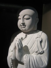 Ccbuddha
