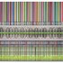 Fishmanb_barcode