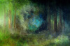 Dance_of_the_fireflies_24x36_oil_on_canvas_jun_2009_800pix