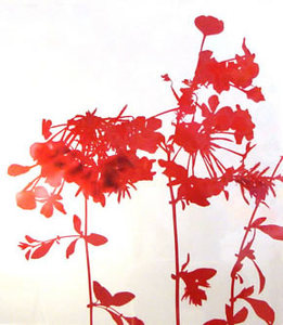 Jameswelling_flowerseries_red_2004_edition_1of5_cprint_33x26inches