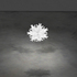 The_virgin_snowflake__in_slow_descent_is_about