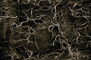Alison_mellor_untitled__mood_trigger__detail_2009_