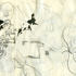 Ecain_image04