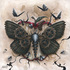 Ant_temptations_wingsweb