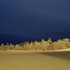 Doskow_chicagoview2_2009