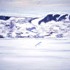 Palisadeswinter