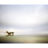 _5_airplane