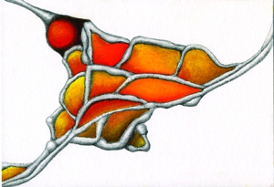 Sotstudy_no5_72dpi