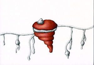 Sotstudy_no16_72dpi