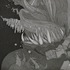 Dscn1194