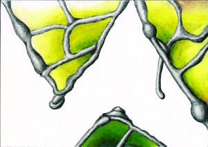 Sotstudy_no14_72dpi