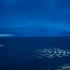 Crossingcircles