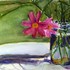 Jar_of_comos_outside