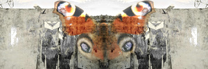 Mtrgjiomotyl