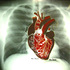 Myheart-foox-1