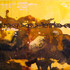 Hirsch-mutation-22x60_edited-1