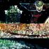 Transfiguration_edited-1