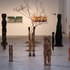 Aa-evolutionsomarts-1