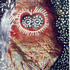 Michael_buhte_0020