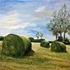 0215_piles_of_hay_in_ireland
