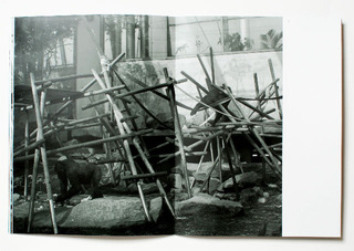 Picture 8- Eating and climbing, wooden structure 3" from Puzzle Box,Ines Lechleitner