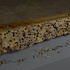 Woodblock_for_website
