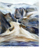 Galleryone_5