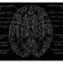 Splitbrain