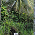 Dsc_7024a2h