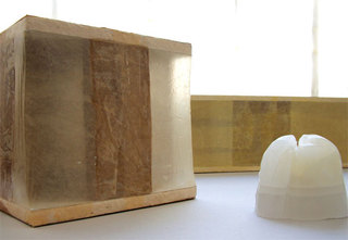 Untitled (installation view),Chelsea Pegram