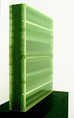 Transparency #19