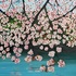 Blossom
