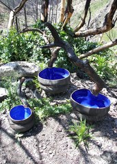 Water Pods,Chris McCormick