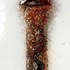 Bolt_afta_vinpix_9887