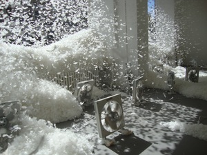 Feathered_chaos_install_1