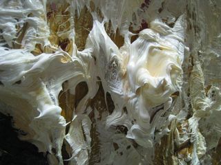 detail,Rodney Dickson