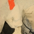 2-flamencotouch