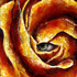 Thorn360