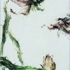 Chen_wei01