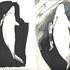 10-estudio_cadena_copy