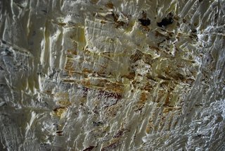 detail,Rodney Dickson