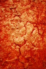 detail,Rodney Dickson