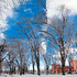 Sun_after_snow