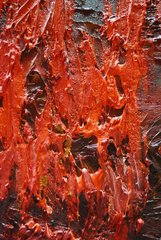 detail,Rodney Dickson