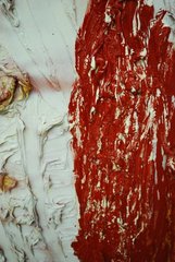 detail,Rodney Dickson