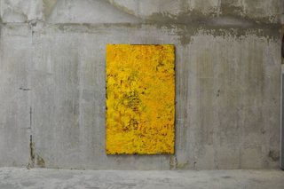 installation shot,Rodney Dickson